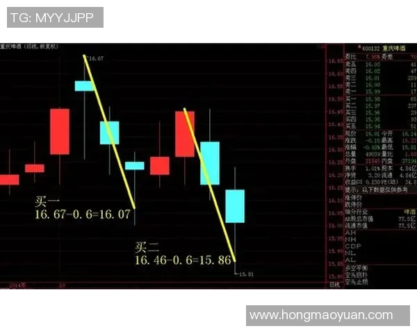 重庆与上海排球队速度较量赛后分析与战术反思